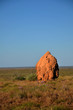 Termitière Australienne Termitière Australienne