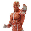 muscle man karate pose close up