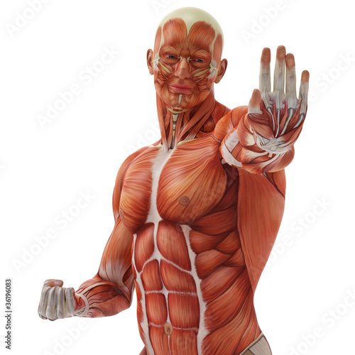 Illustration: muscle man karate pose close up muscle man karate pose close up