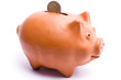 Piggy Bank with Euros