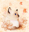 Vintage birthday card with little siamese  kitten and  flowers