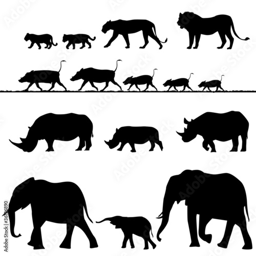 Vector: African animals, vector silhouettes African animals, vector silhouettes