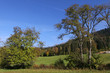 Paysage d'automne