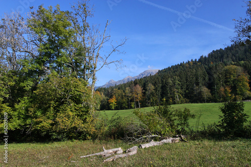 photo par Pierre-Jean DURIEU