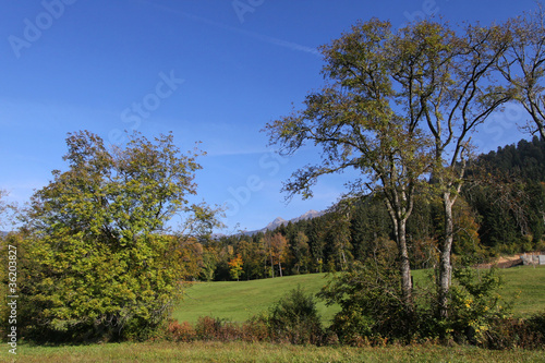 photo par Pierre-Jean DURIEU