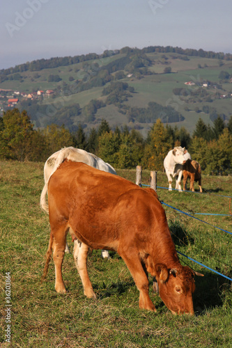 photo par Pierre-Jean DURIEU
