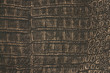 scaled wallpaper background