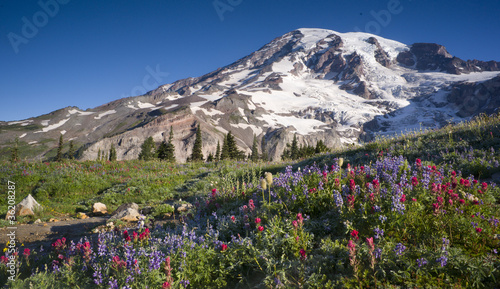 Photo: Mt. Rainier Wildflowers Bloom Mt. Rainier Wildflowers Bloom