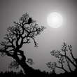 Halloween silhouettes