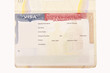 Blank American Visa