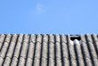 close up on corrugated asbestos roof on byre in Poland