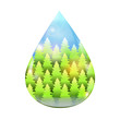 water drop green trees