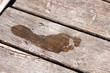Foto: Fuß Fuß