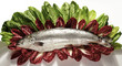 salmone