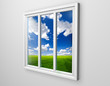 white Window