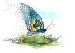 Illustration: butterfly on the leaf (series C) butterfly on the leaf (series C)