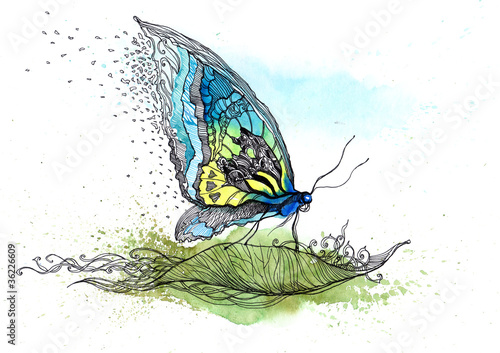 Illustration: butterfly on the leaf (series C) butterfly on the leaf (series C)