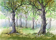 green forest (series C)