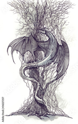 Illustration: dragon tree (series C) dragon tree (series C)
