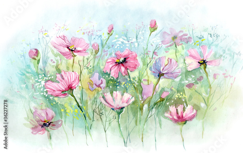 Illustration: summer flowers (series C) summer flowers (series C)