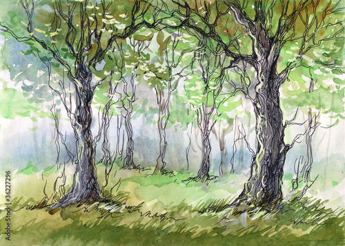 Illustration: green forest (series C) green forest (series C)