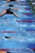 Swimmer