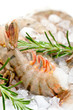 Foto: Grosses crevettes sur lit de glace Grosses crevettes sur lit de glace