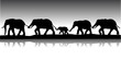 landscape with elephants