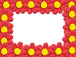 Flowers frame