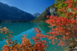 Plansee