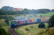 Landscape with the train