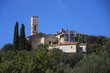 Opio