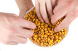 fried corn