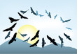 eagle silhouettes against a mountain background