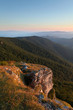 Green forest mountain at sunset with rocks. - High Tatras