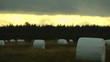 Hay.