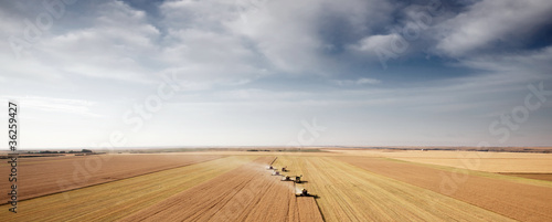 Foto: Harvest Aerial Landscape Harvest Aerial Landscape