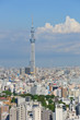 Tokyo Sky Tree and Downtown