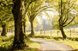 autumn scenery