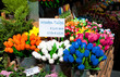 Photo: wooden tulips wooden tulips