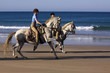 Photo: ausreiten am strand ausreiten am strand