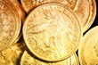 American gold coins American gold coins