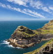 Cliff at Cornish coast near Boscastle, Cornwall, England