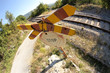 railway