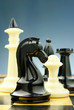 chess pieces on the board chess pieces on the board
