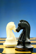 chess pieces on the board chess pieces on the board