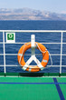 Life buoy