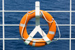 Life buoy