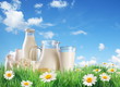 Dairy produce on the grass with chamomiles.