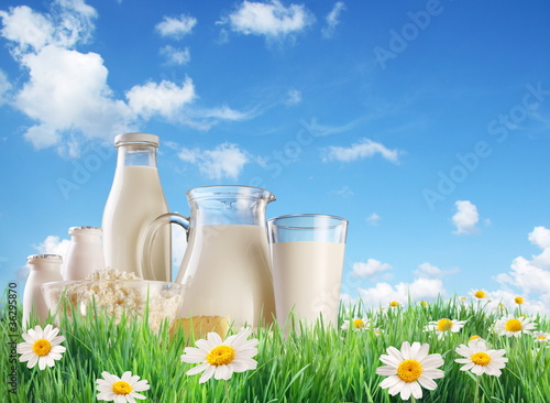Photo: Dairy produce on the grass with chamomiles. Dairy produce on the grass with chamomiles.